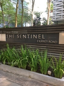 The Sentinel #28652